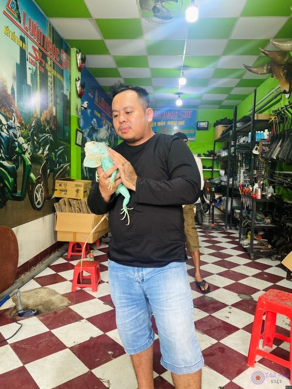Ngoài việc đam mê xe SH, anh còn rất thích nuôi thú cưng như tắc kè...