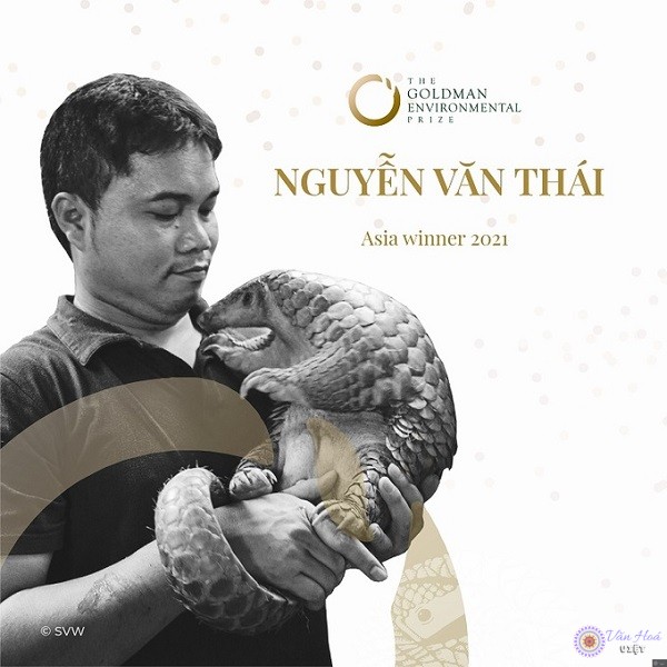 Ông Nguyễn Văn Thái có nhiều đóng góp trong bảo tồn động vật hoang dã nói chung và loài tê tê nói riêng. Ảnh: SVW.