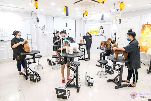 Dịch vụ bỗng trở nên thu hút